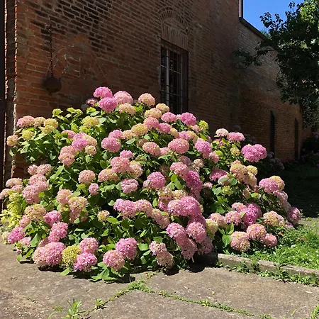 Alloggio in famiglia Palazzo Sabbioni Del Conte Elegant In Old Monastery Center