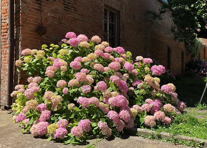 Alloggio in famiglia Palazzo Sabbioni Del Conte Elegant In Old Monastery Center